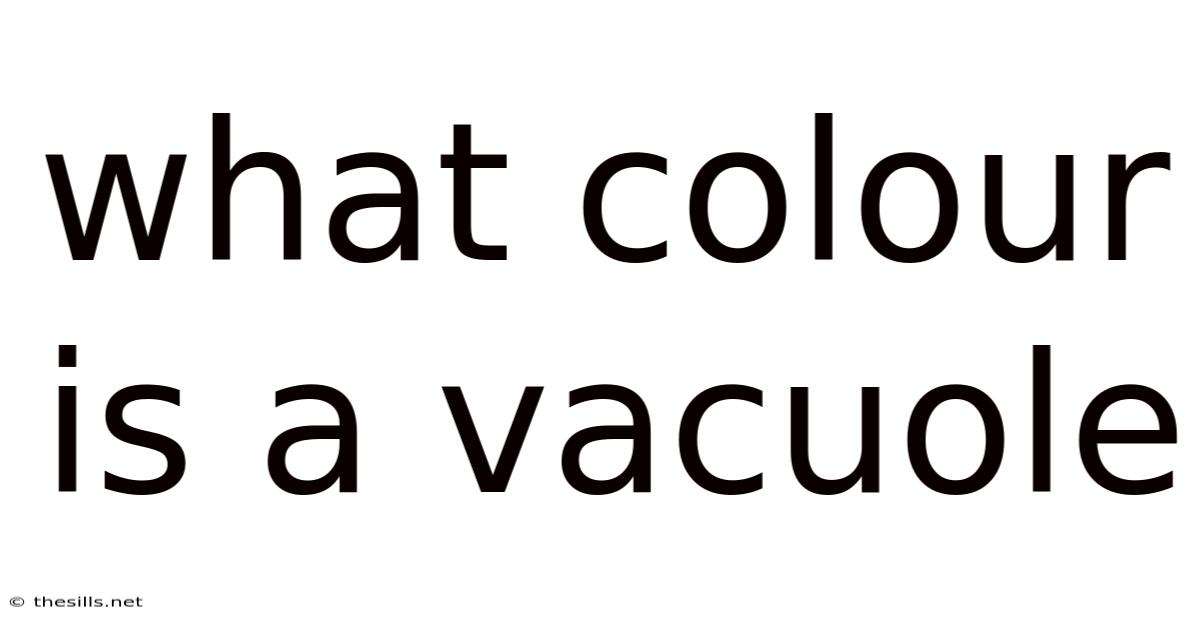 What Colour Is A Vacuole