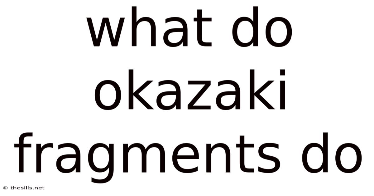 What Do Okazaki Fragments Do