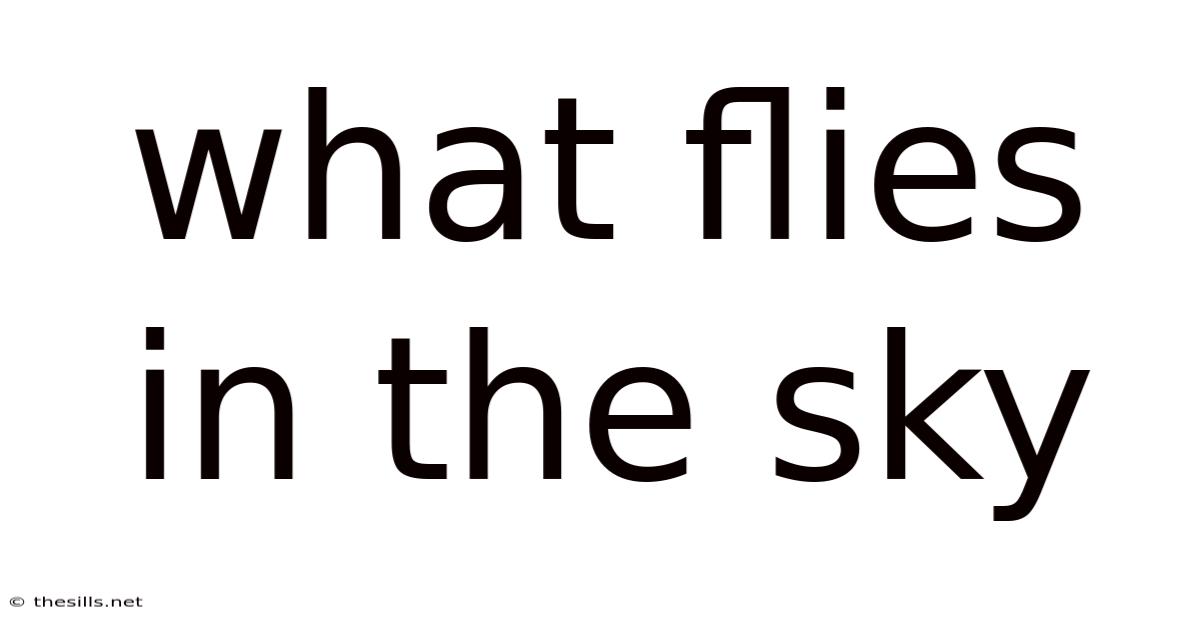 What Flies In The Sky