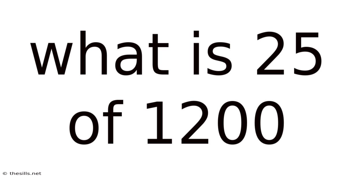 What Is 25 Of 1200