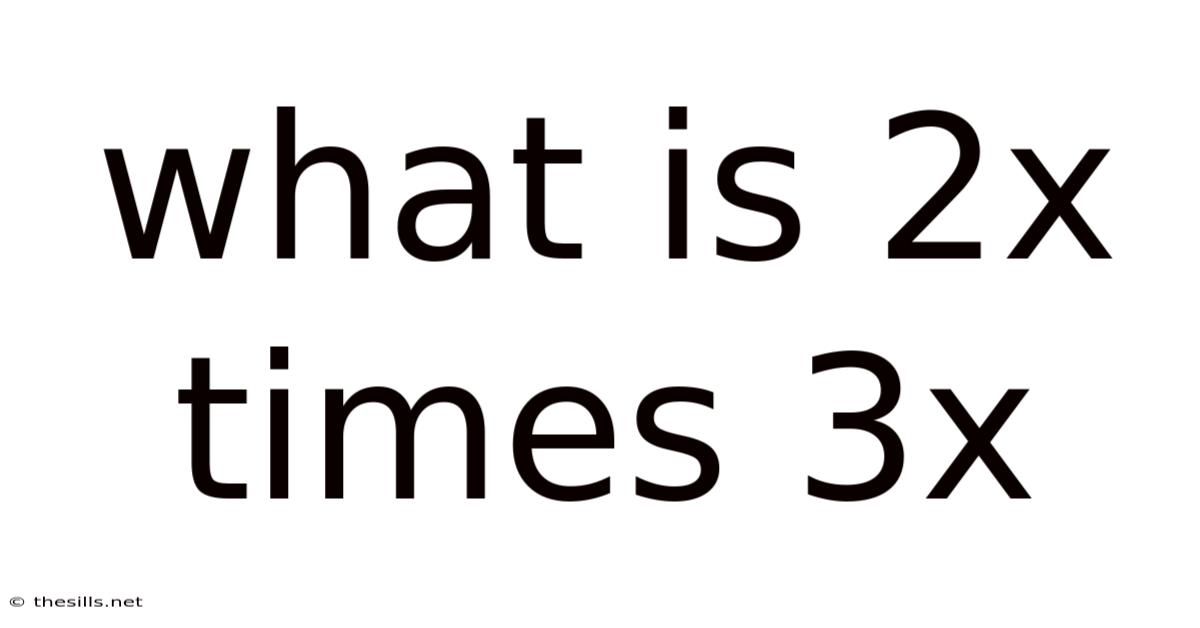 What Is 2x Times 3x