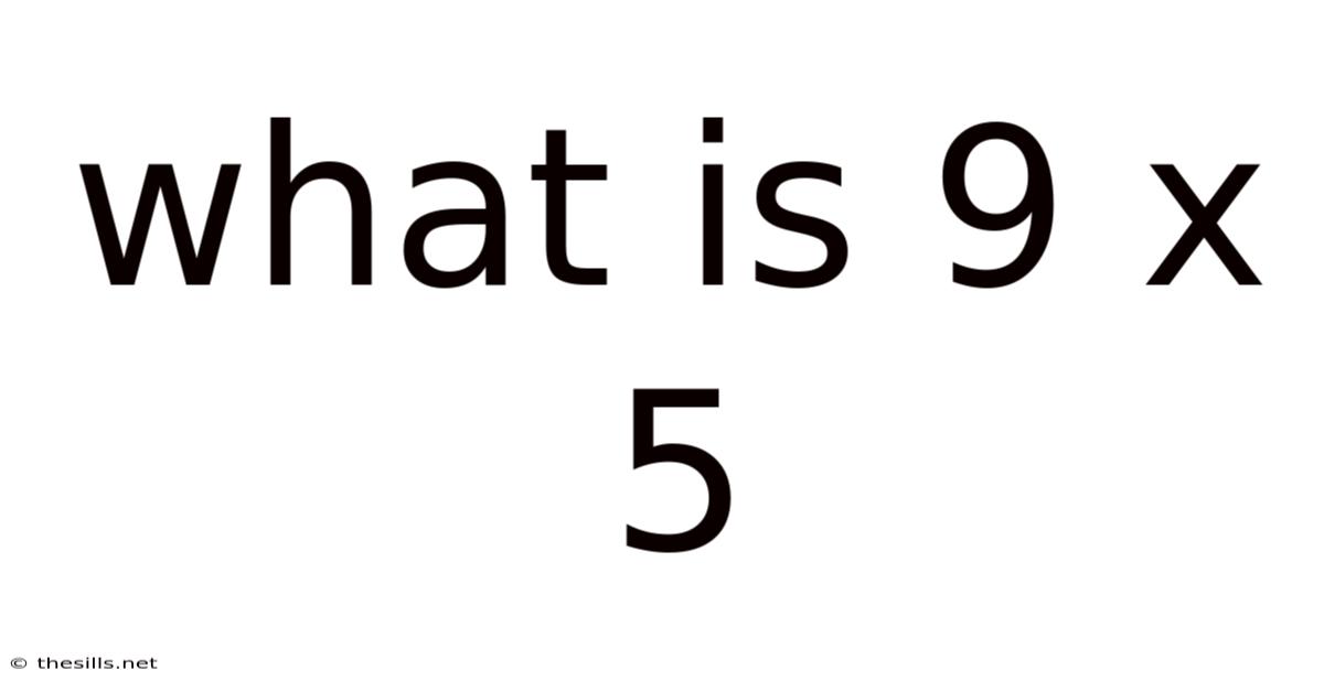 What Is 9 X 5