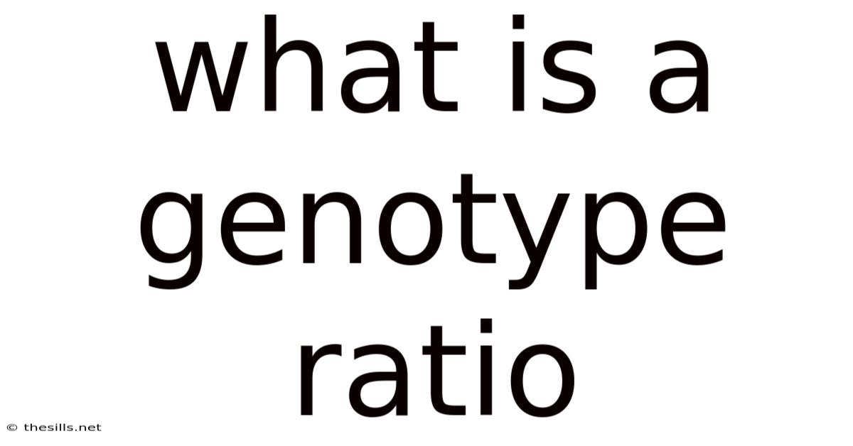 What Is A Genotype Ratio