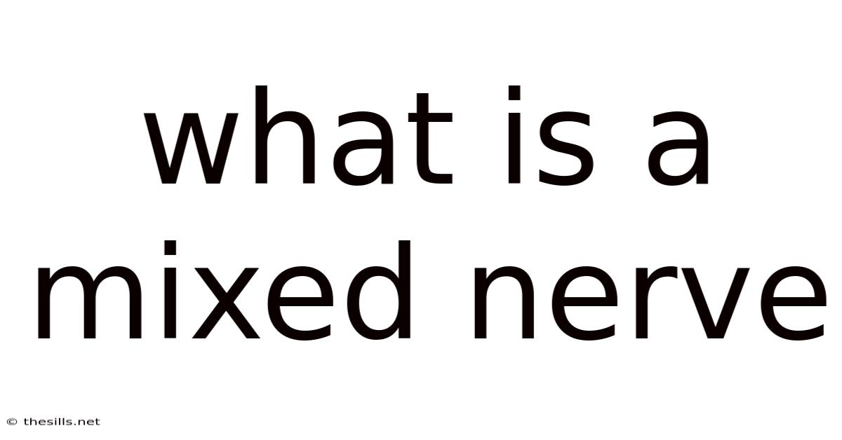 What Is A Mixed Nerve
