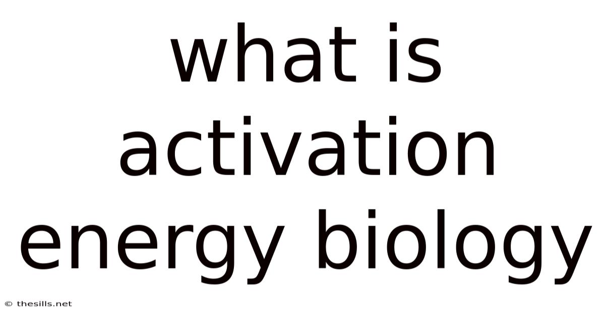 What Is Activation Energy Biology
