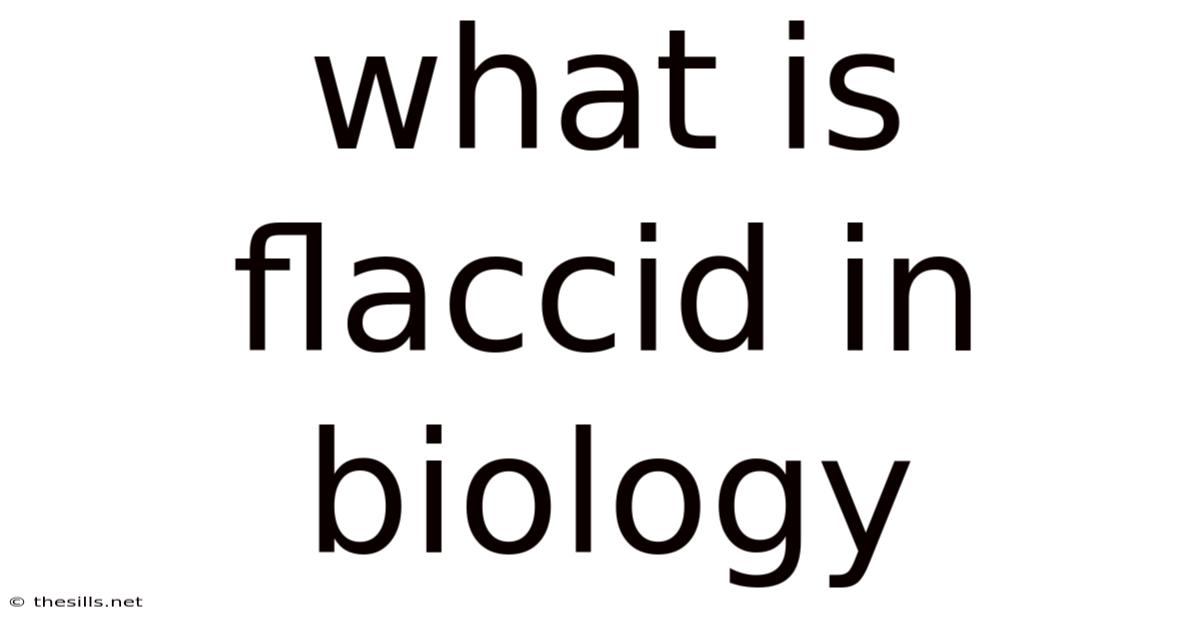 What Is Flaccid In Biology
