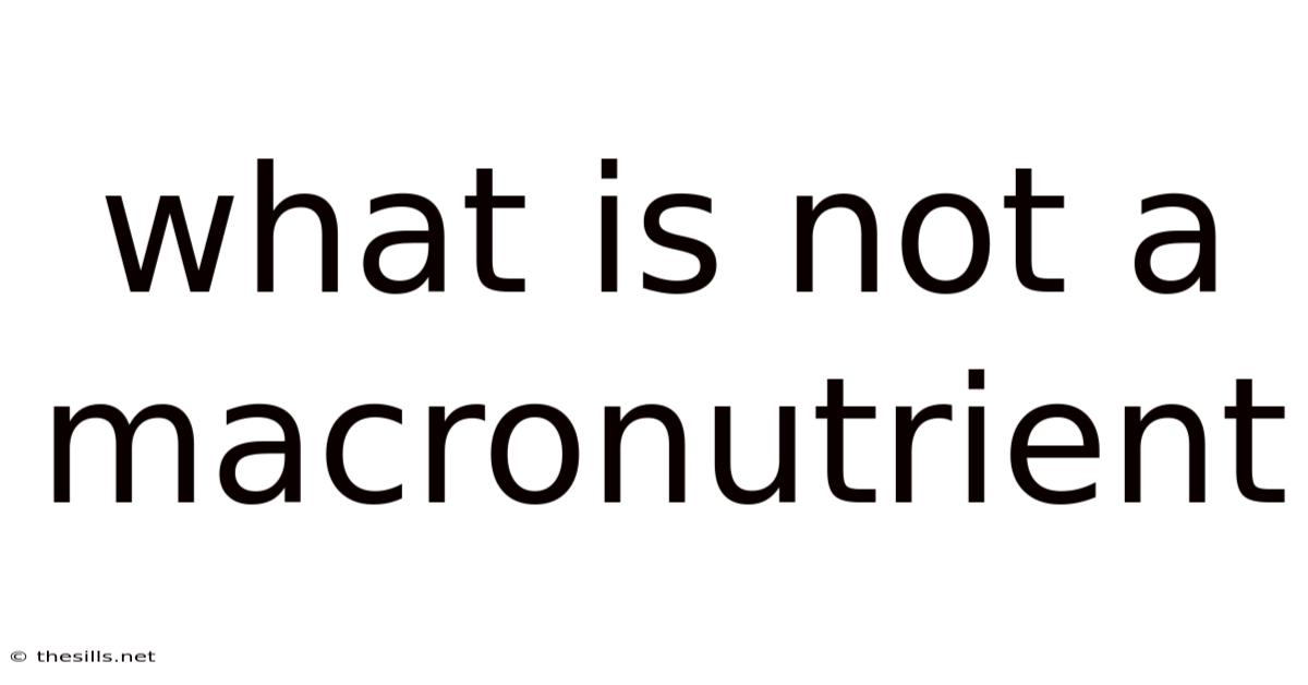 What Is Not A Macronutrient