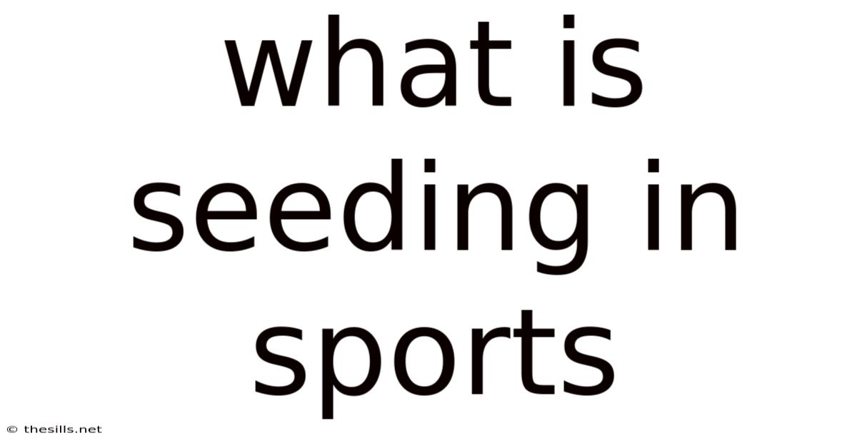 What Is Seeding In Sports