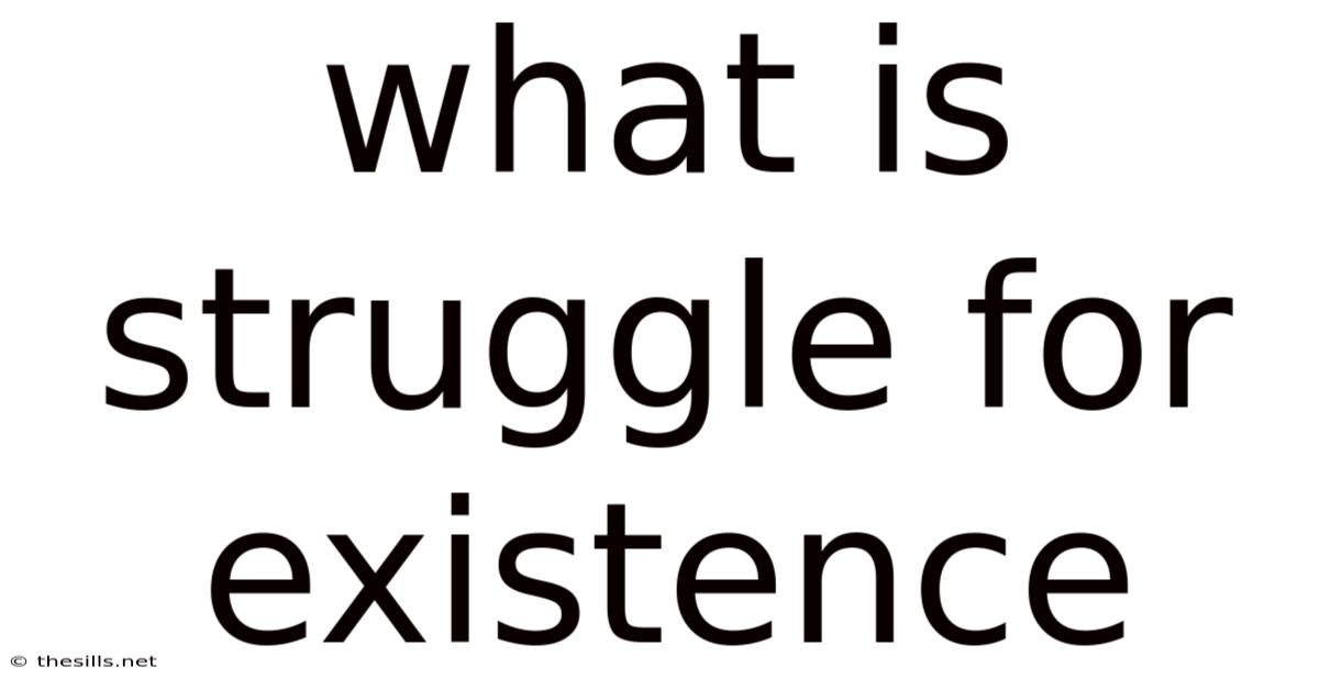What Is Struggle For Existence