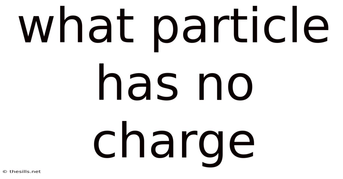 What Particle Has No Charge
