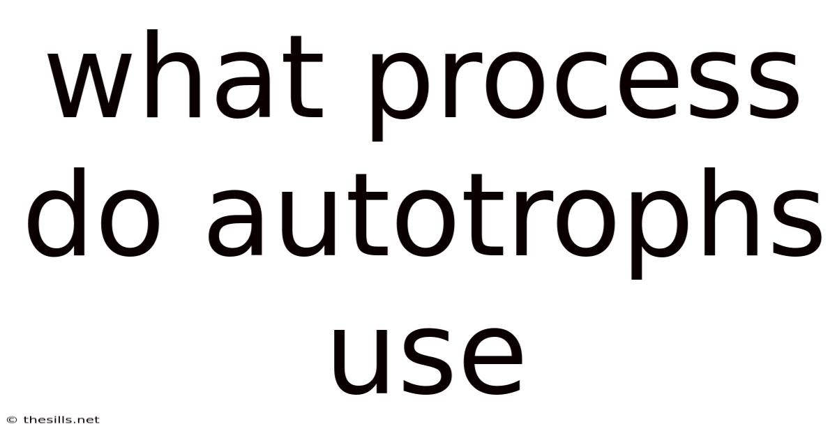 What Process Do Autotrophs Use