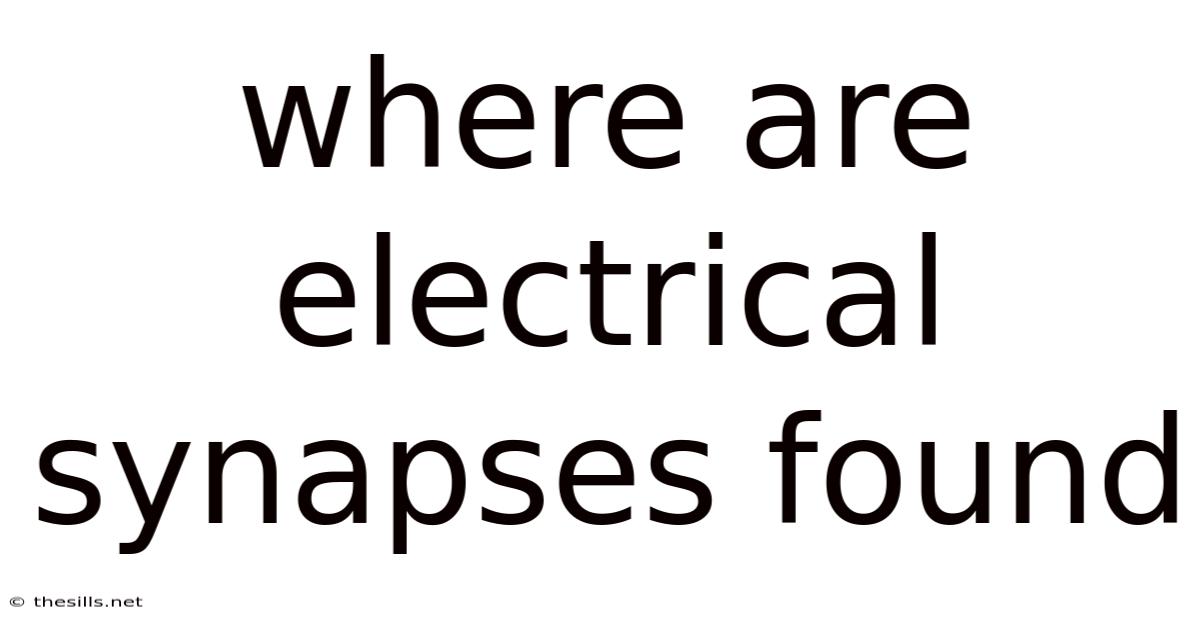 Where Are Electrical Synapses Found