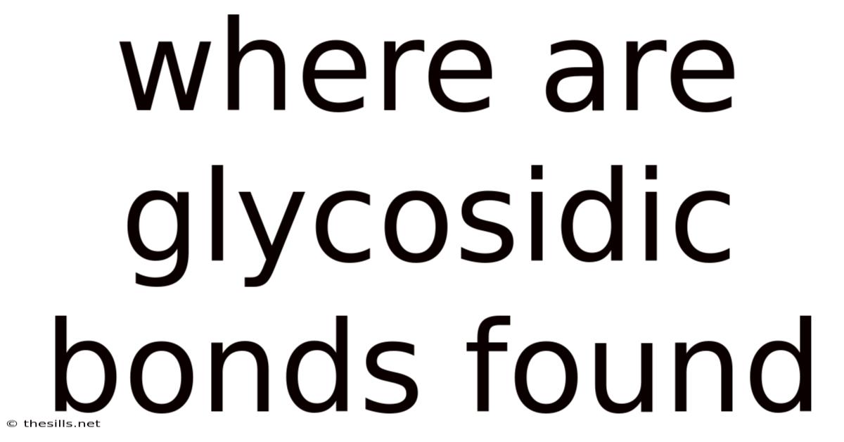Where Are Glycosidic Bonds Found