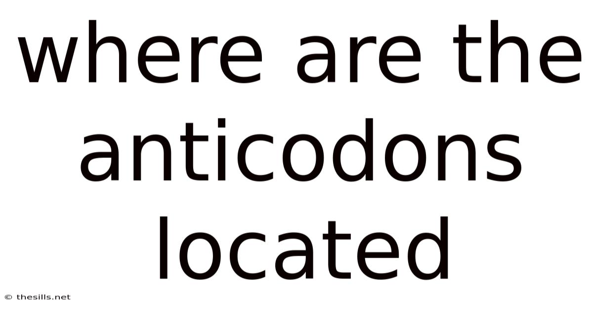Where Are The Anticodons Located