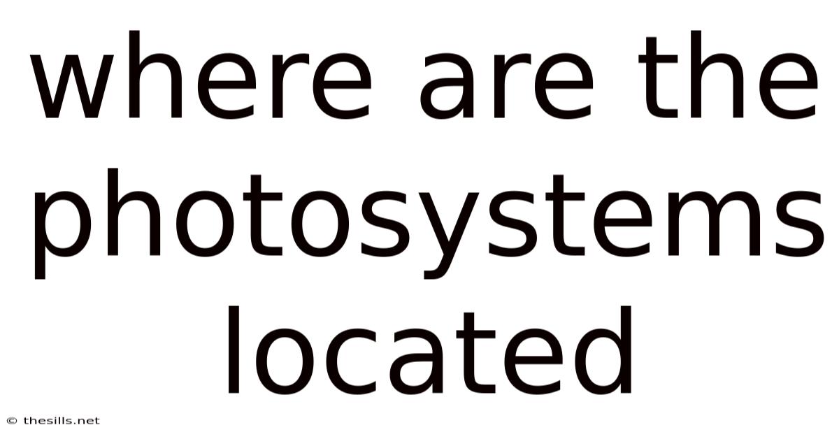 Where Are The Photosystems Located