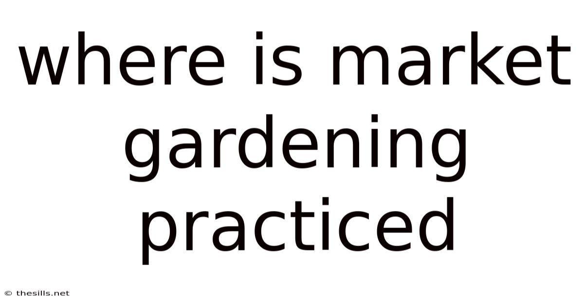Where Is Market Gardening Practiced