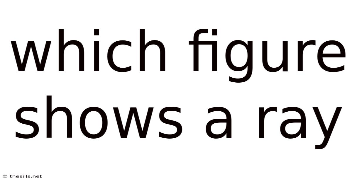 Which Figure Shows A Ray