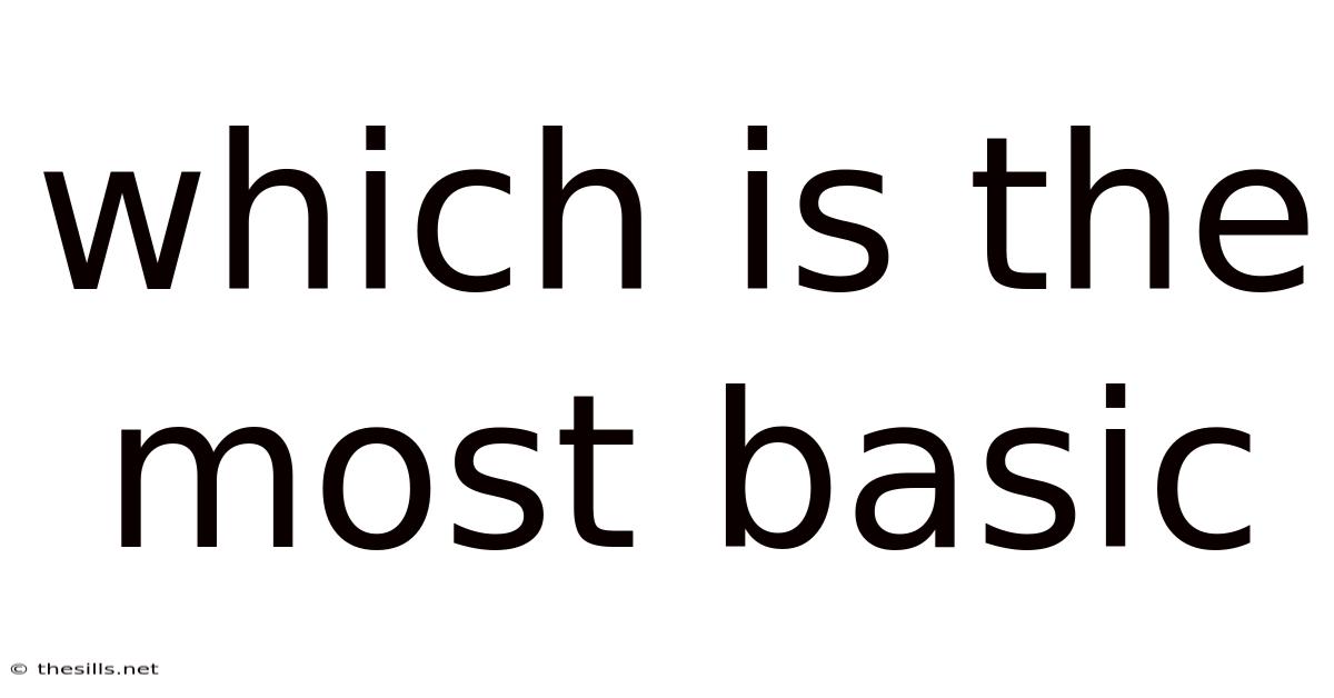 Which Is The Most Basic