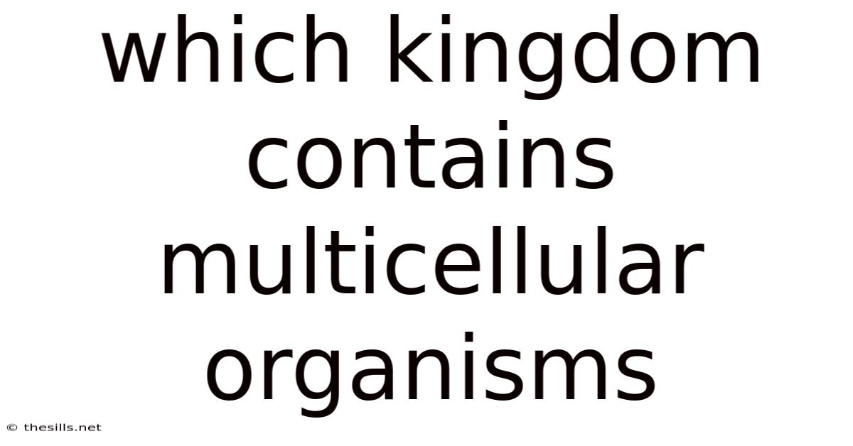 Which Kingdom Contains Multicellular Organisms