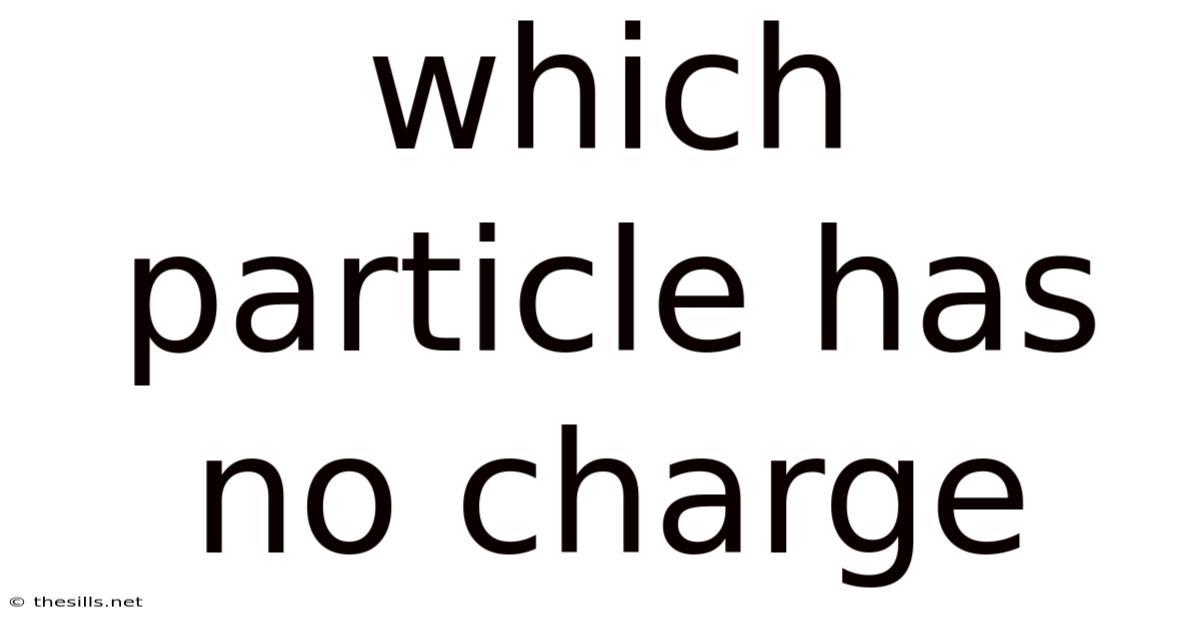 Which Particle Has No Charge
