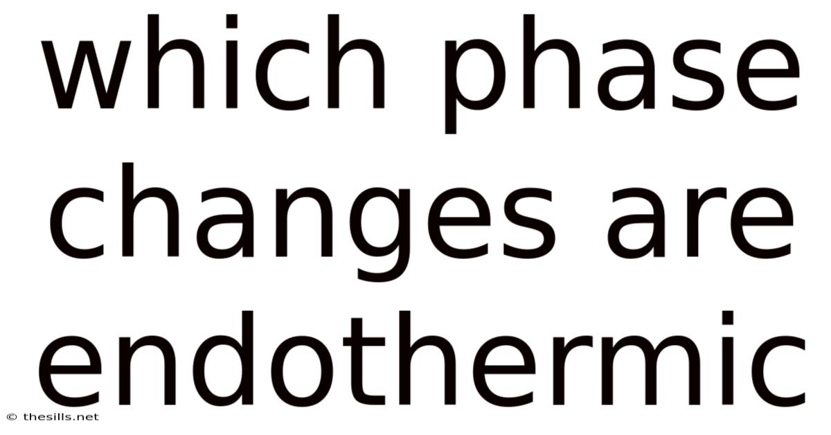 Which Phase Changes Are Endothermic