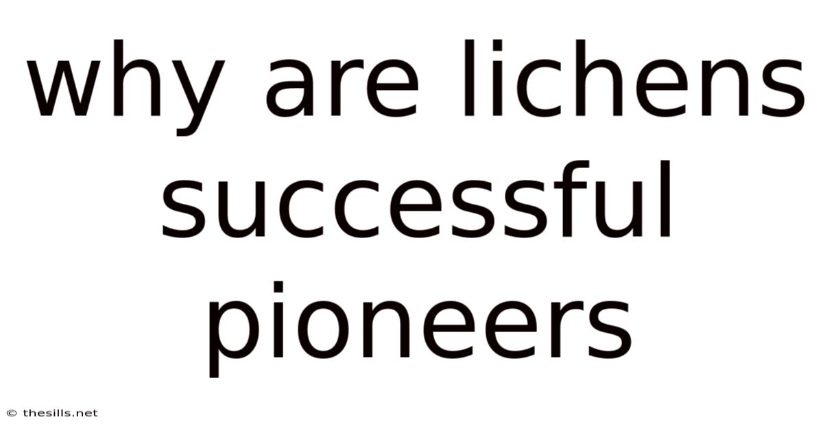 Why Are Lichens Successful Pioneers