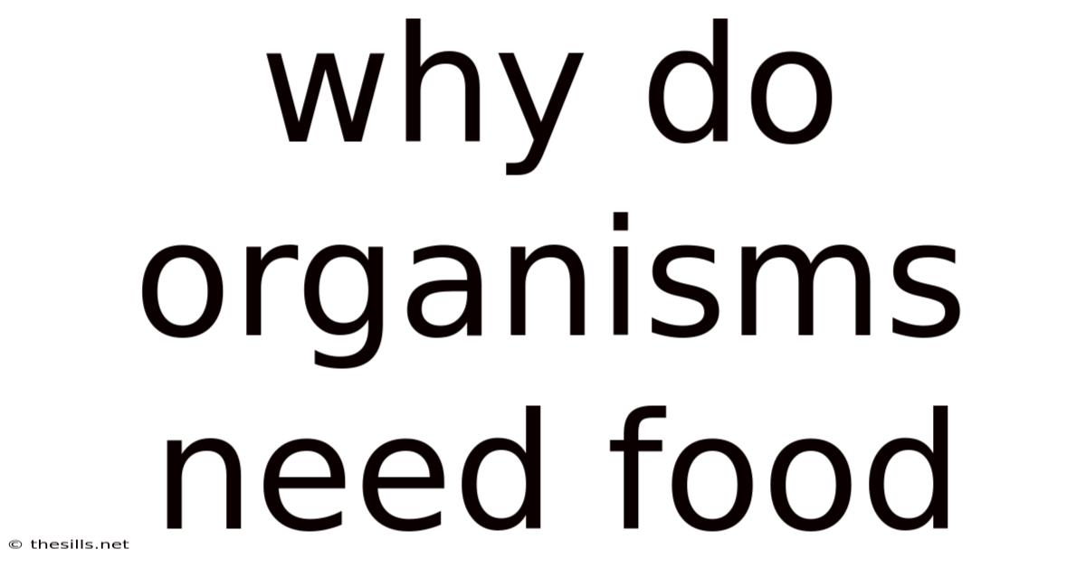 Why Do Organisms Need Food