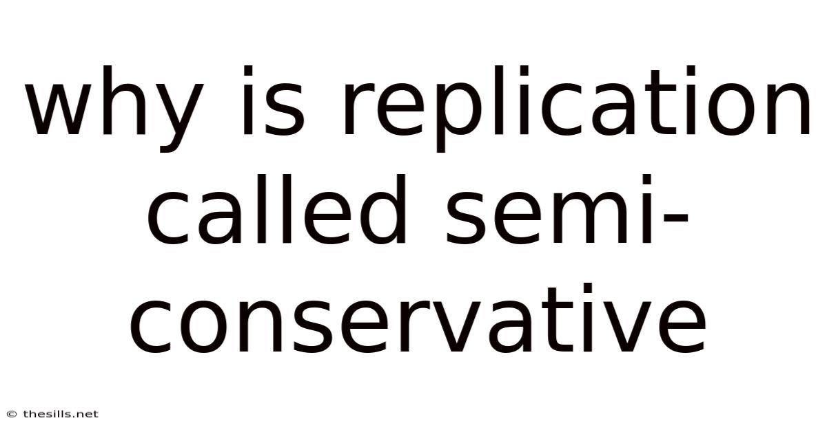 Why Is Replication Called Semi-conservative