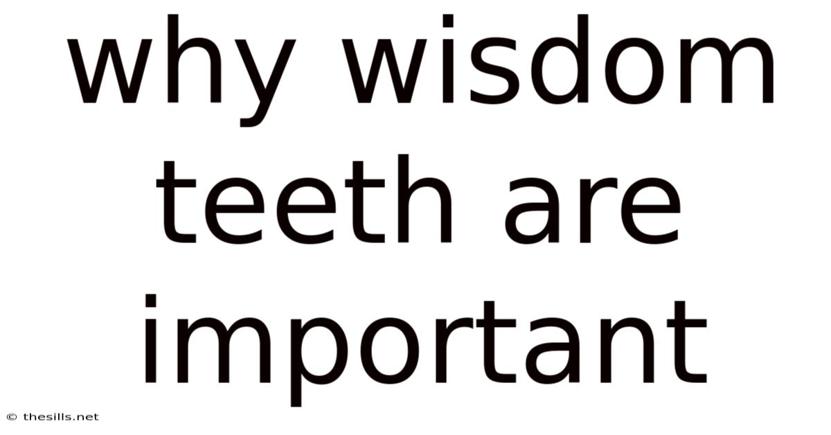 Why Wisdom Teeth Are Important