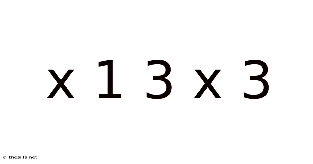 X 1 3 X 3